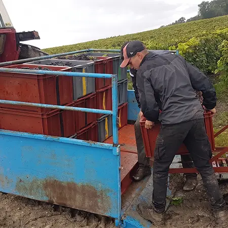 débardage champagne calmes robert