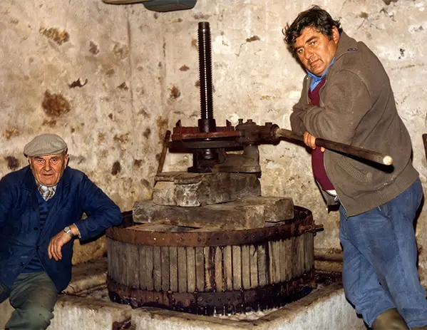 Champagne Calmes Robert famille