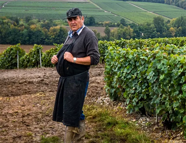 Champagne Calmes Robert famille