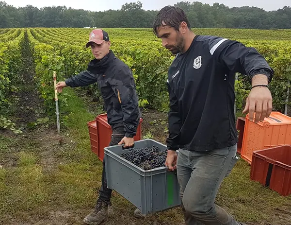 Champagne Calmes Robert famille