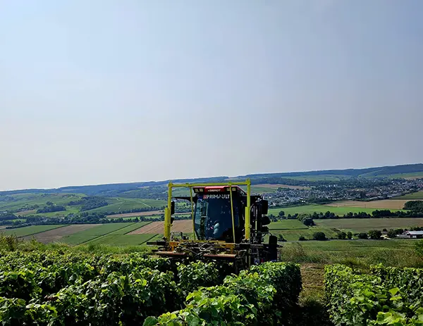 enjambeur vignes champagne